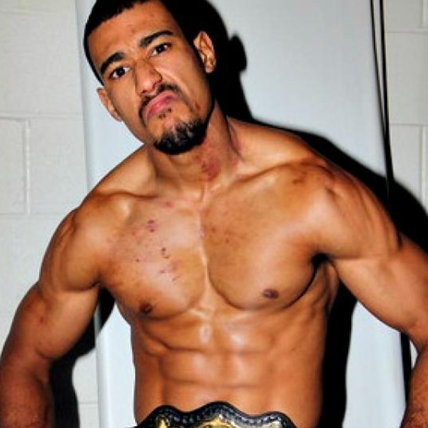 AR Fox