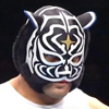 Black Tiger