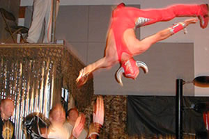 Super Dragon vs. TARO