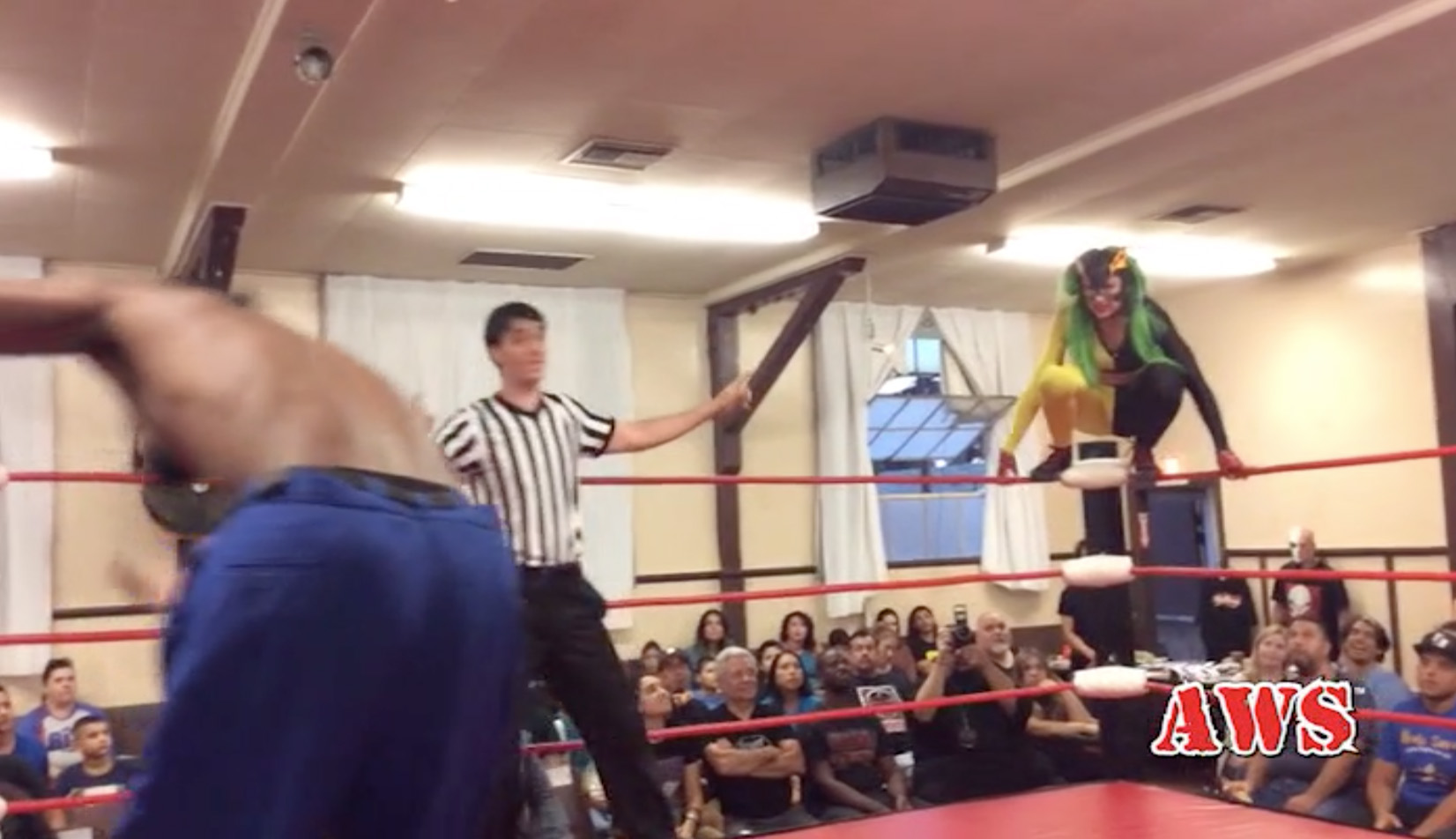 Pizza Cat vs. Human Tornado ClickWrestle