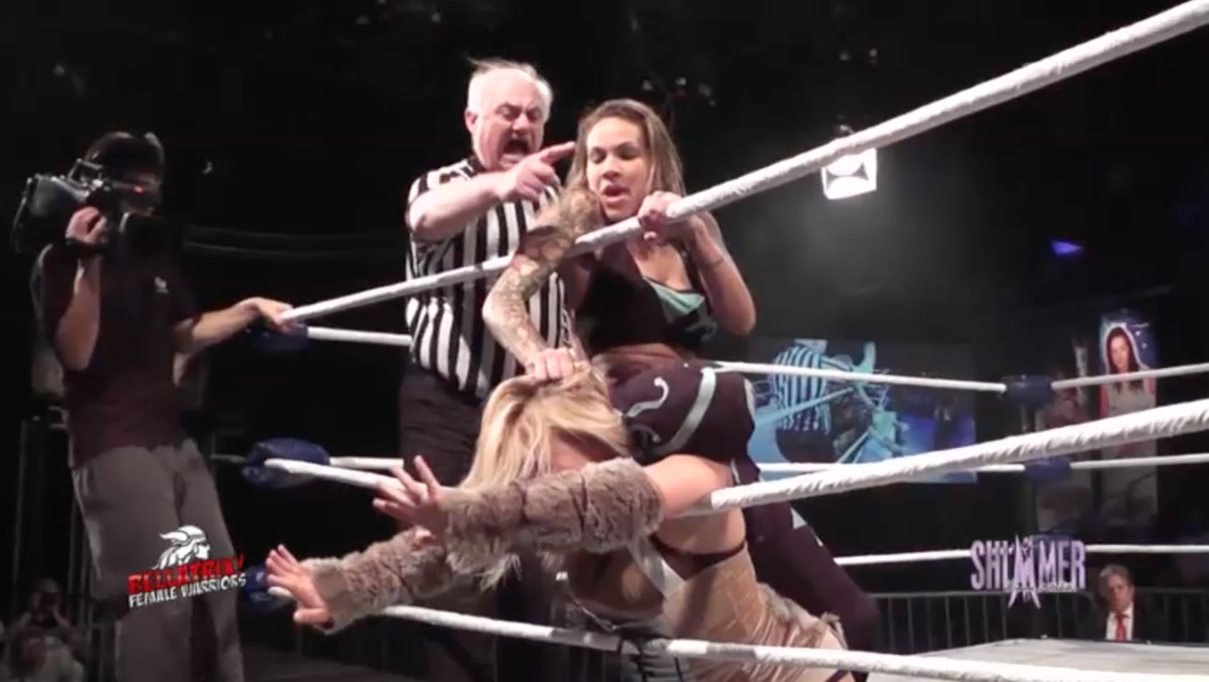 Mercedes Martinez vs. Miss Mina