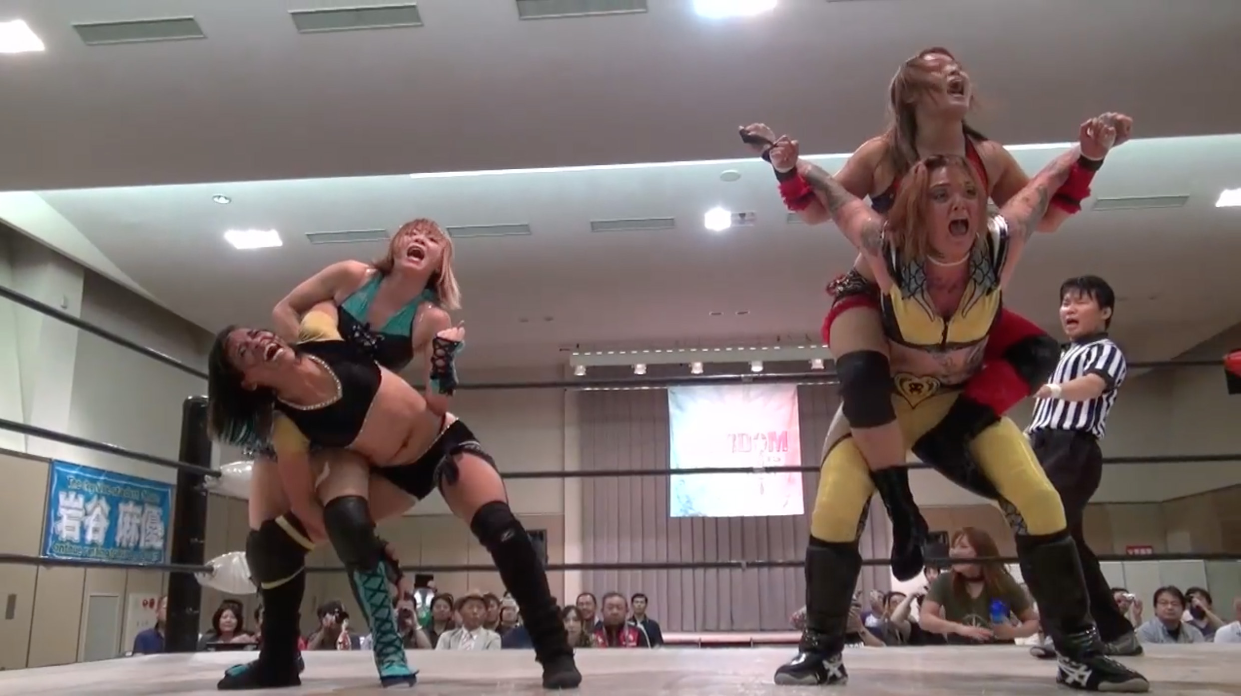 Hudson Envy & La Rosa Negra vs. Mayu Iwatani & Io Shirai