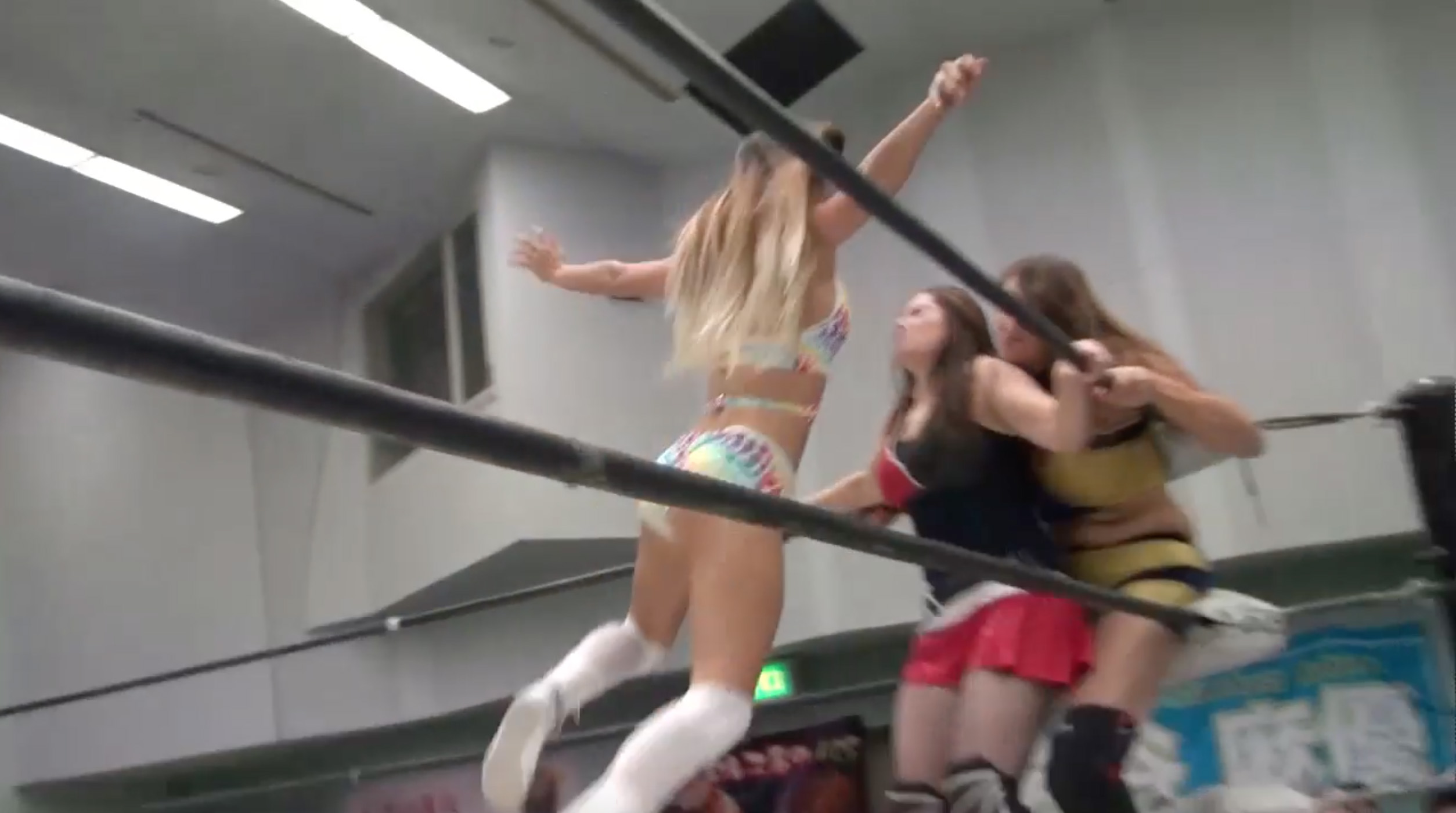 Queen Maya vs. Alex Lee vs. Chelsea