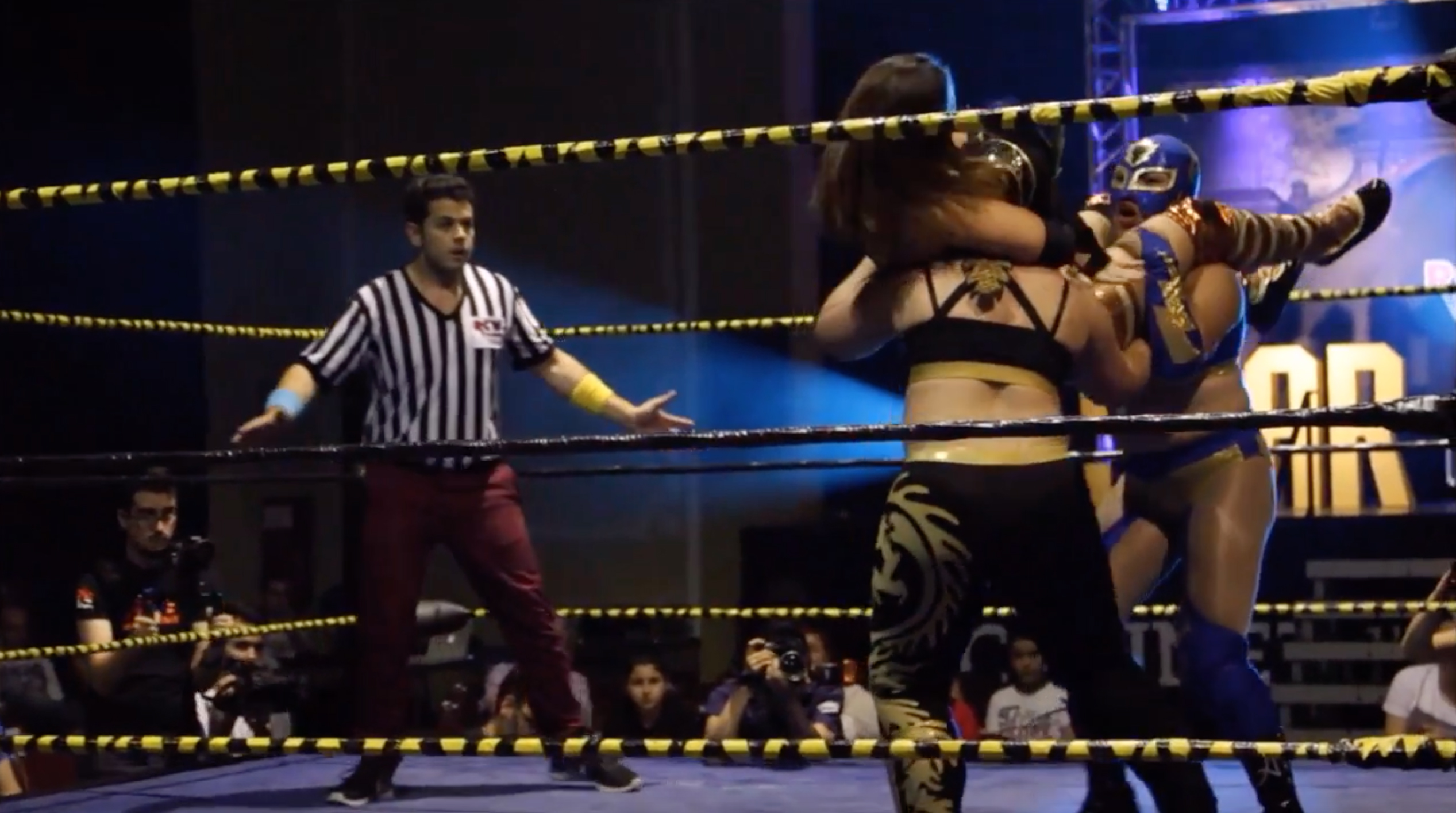 Diosa Atenea vs. Camille Grignon vs. Dragonita