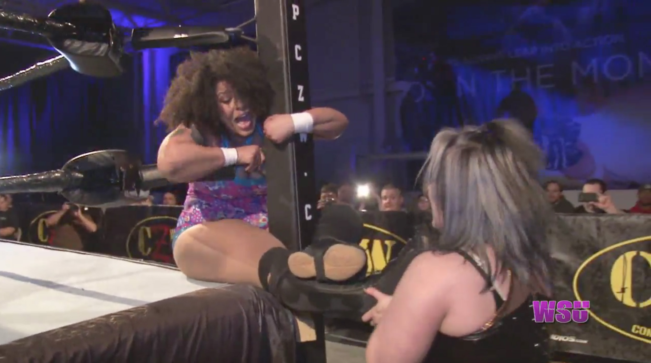 LuFisto vs. Willow Nightingale
