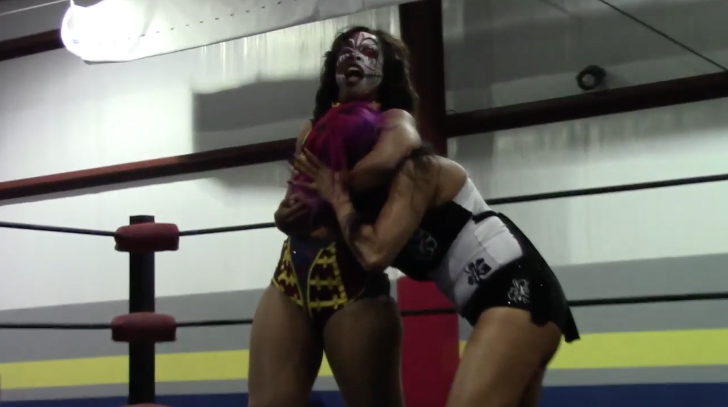 Holidead vs. Tracy Taylor