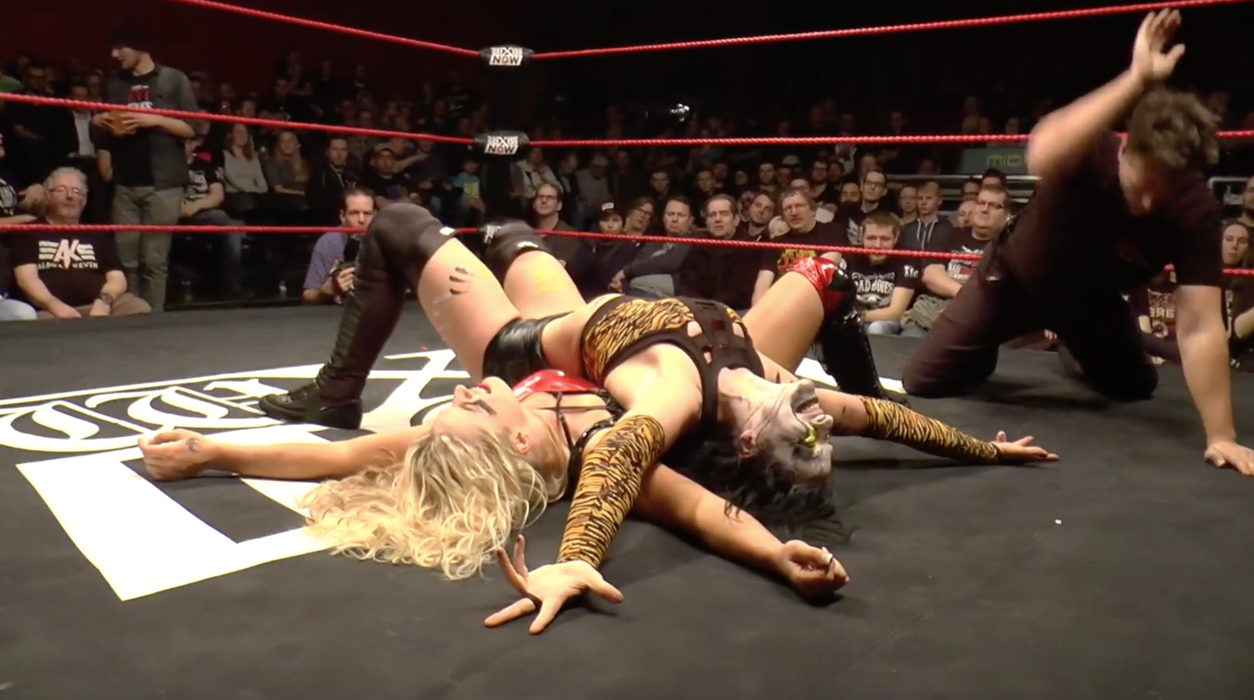 Rosemary vs. Toni Storm