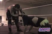 Kid Kaos vs. Angus Mackentyre