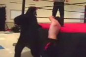 Gregory The Gorilla vs. Nick Cutler